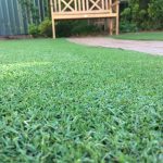 Adelaide Lawn Specialists